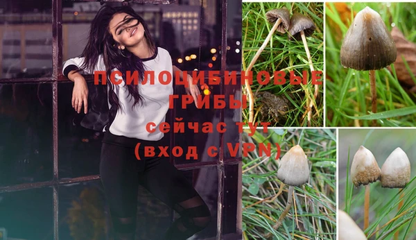 экстази Белокуриха