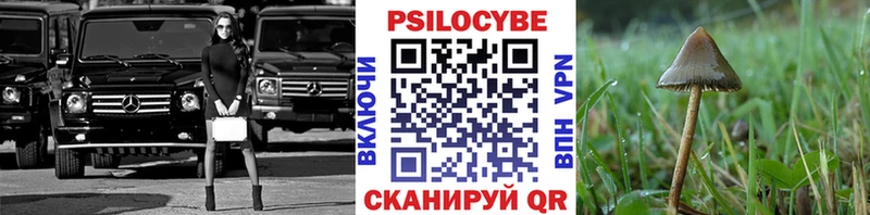 blacksprut маркетплейс  как найти наркотики  Мостовской  Псилоцибиновые грибы мицелий 